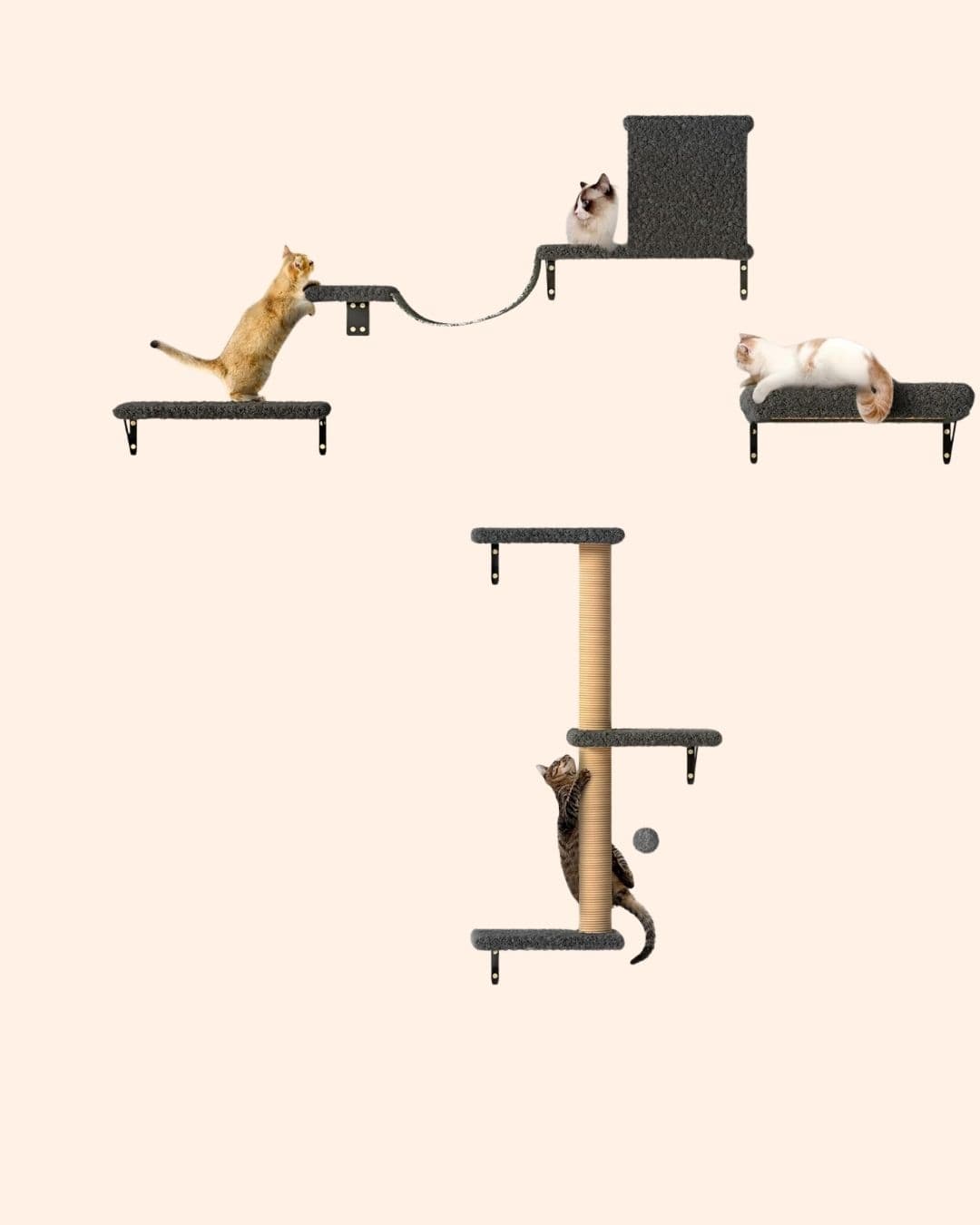 Cat Wall Shelves