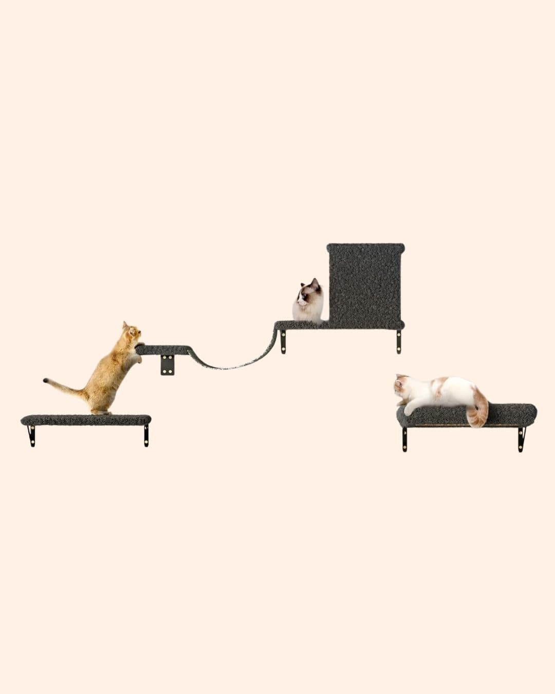 Carousel Main Image 3