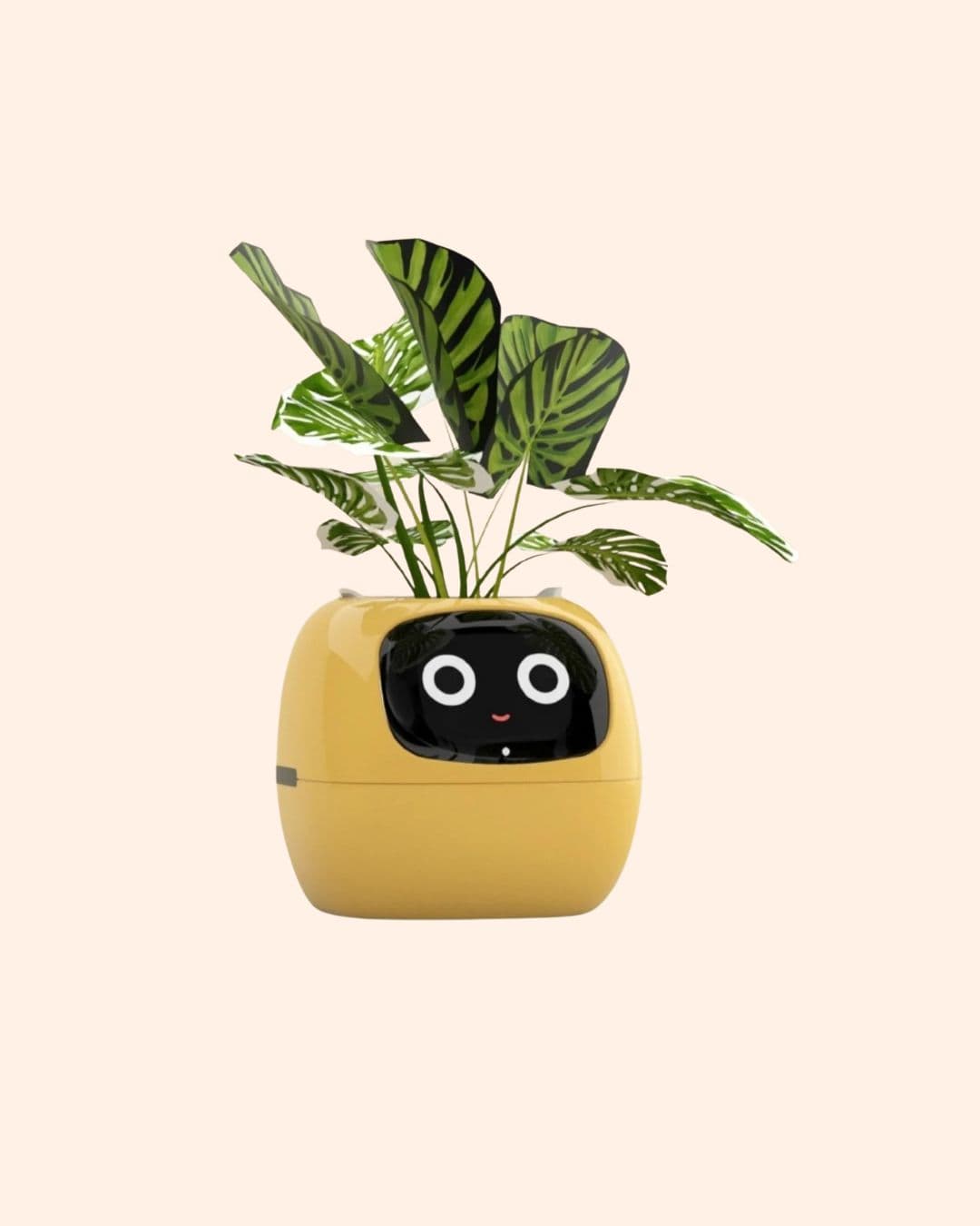 Carousel Main Image 3