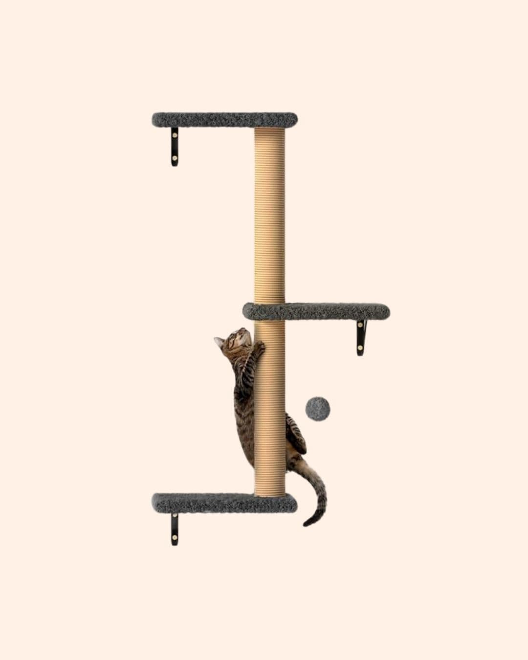 Carousel Main Image 4